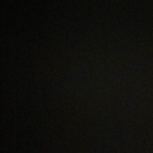 Meet your Posher, Riley